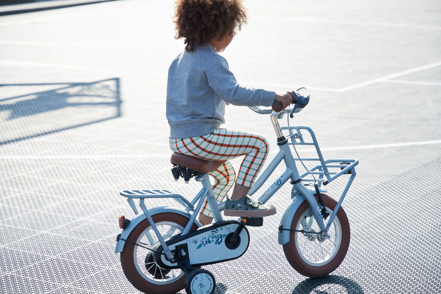 heroïne spectrum vergroting Alpina Cargo Girls fiets? | Kidsbikes