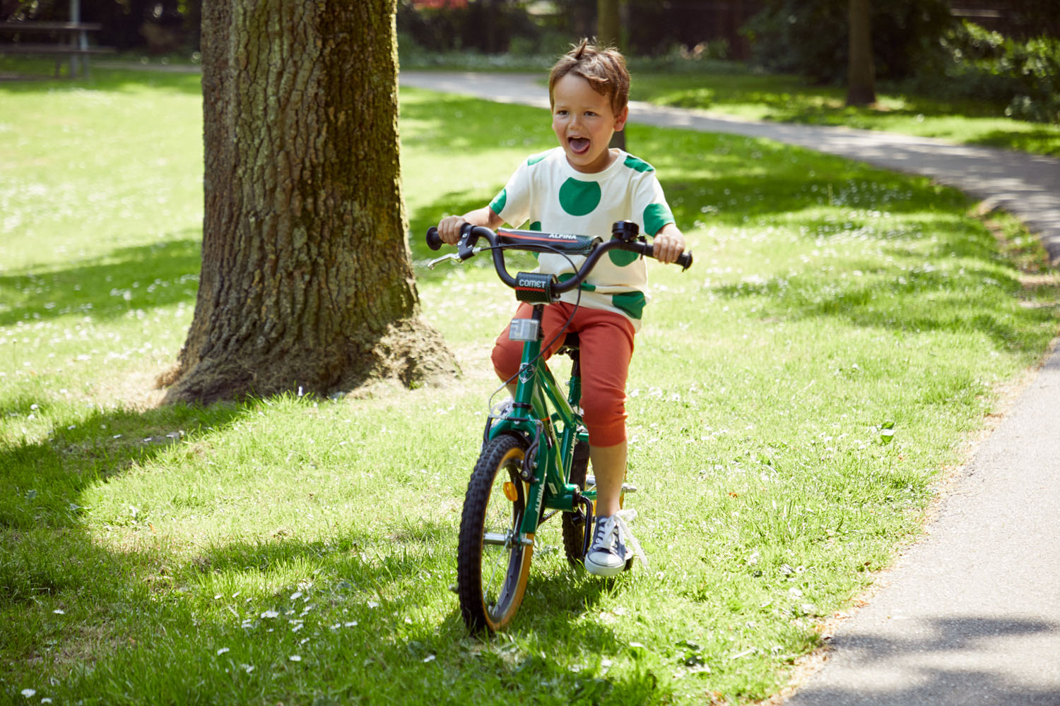 Regeren huisvrouw Verdeelstuk Alpina Comet fiets? | Kidsbikes